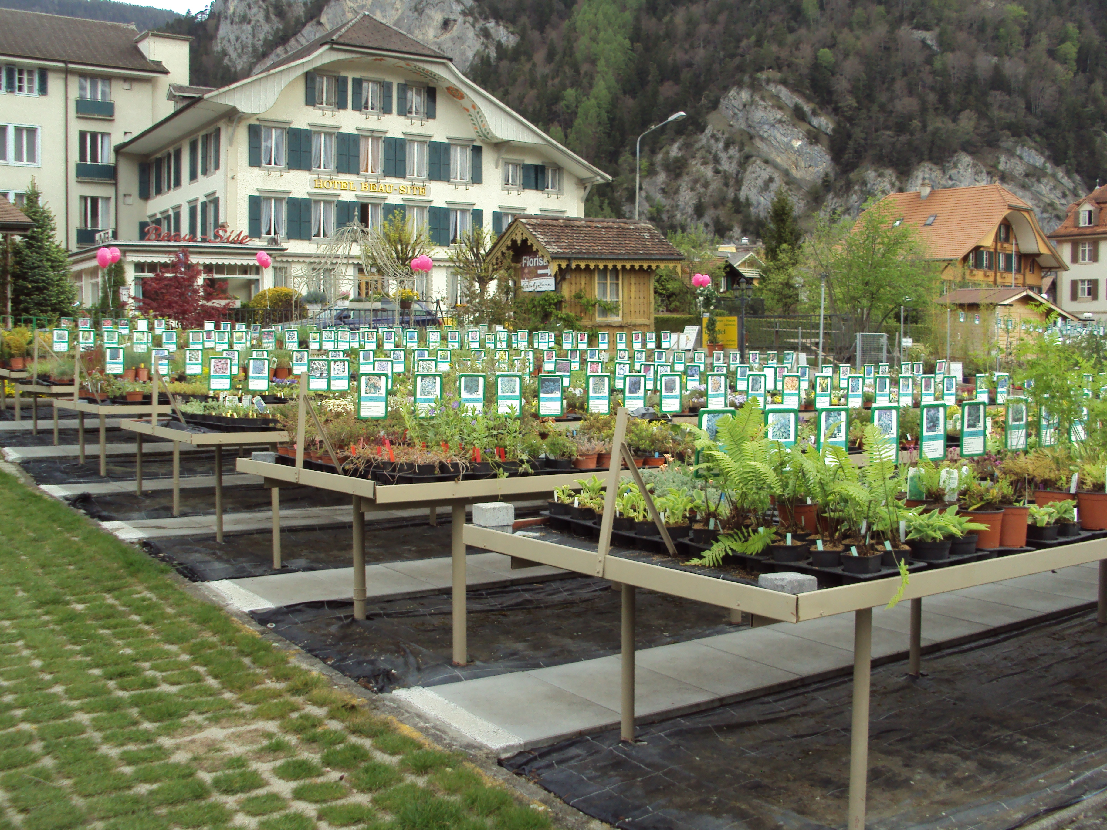 B. Ryffel Blumen Pflanzen Gartenbau | Gärtnerei